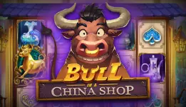 Bull_in_a_China_Shop